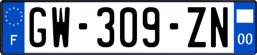 GW-309-ZN