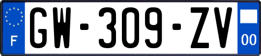 GW-309-ZV