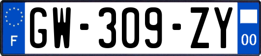 GW-309-ZY