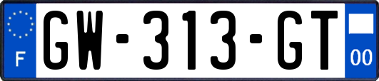 GW-313-GT