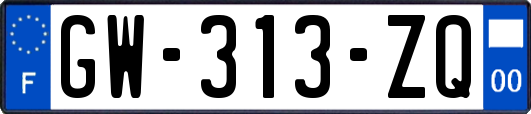 GW-313-ZQ