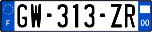 GW-313-ZR