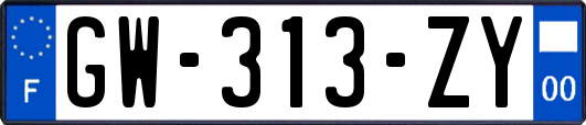 GW-313-ZY