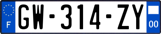 GW-314-ZY