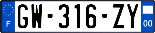 GW-316-ZY