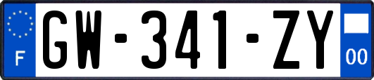 GW-341-ZY