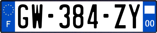 GW-384-ZY
