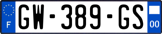 GW-389-GS