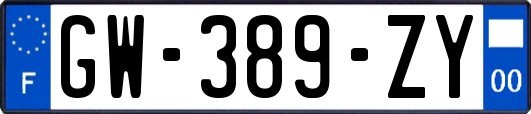 GW-389-ZY