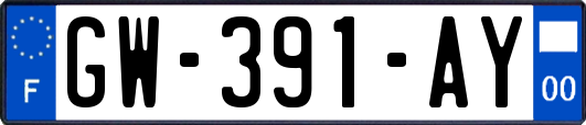 GW-391-AY