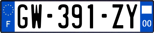 GW-391-ZY