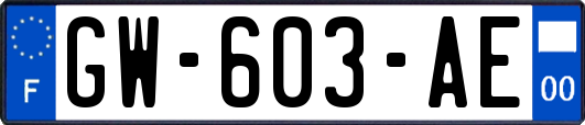 GW-603-AE