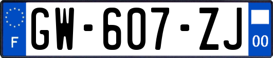 GW-607-ZJ