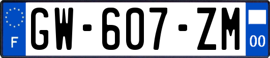 GW-607-ZM