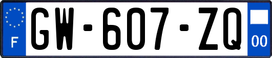 GW-607-ZQ