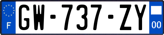 GW-737-ZY