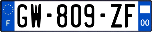 GW-809-ZF