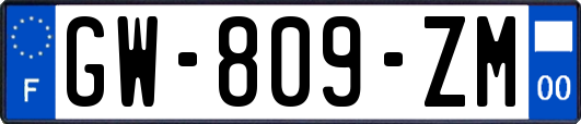 GW-809-ZM