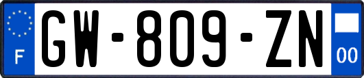 GW-809-ZN