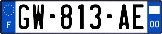 GW-813-AE