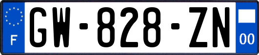 GW-828-ZN