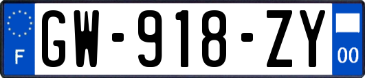 GW-918-ZY