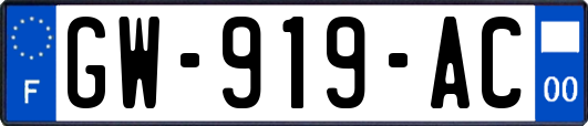 GW-919-AC