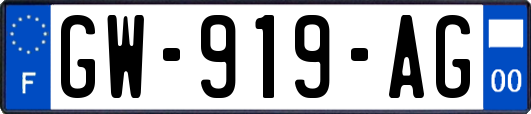 GW-919-AG
