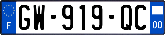 GW-919-QC