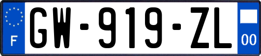 GW-919-ZL
