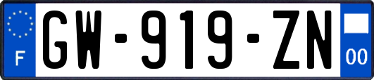 GW-919-ZN