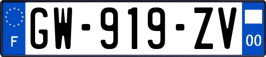 GW-919-ZV
