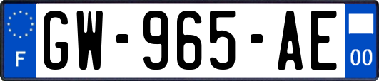 GW-965-AE