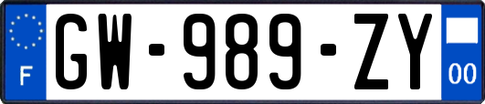 GW-989-ZY