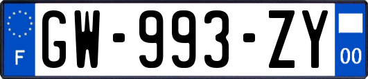 GW-993-ZY