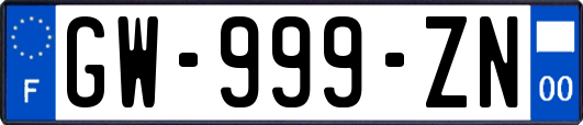 GW-999-ZN