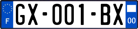 GX-001-BX