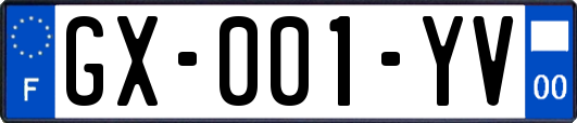 GX-001-YV