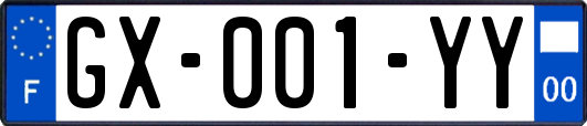 GX-001-YY