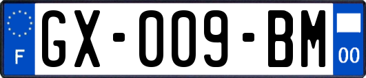 GX-009-BM