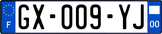 GX-009-YJ