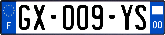 GX-009-YS