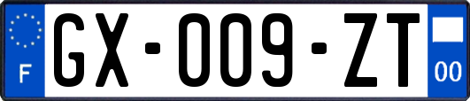 GX-009-ZT