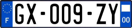 GX-009-ZY
