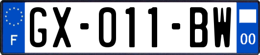 GX-011-BW