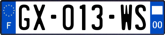GX-013-WS