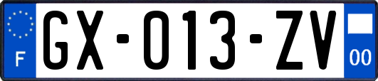 GX-013-ZV