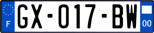 GX-017-BW