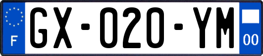 GX-020-YM