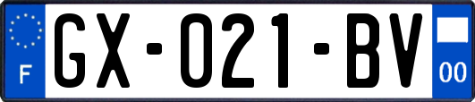 GX-021-BV